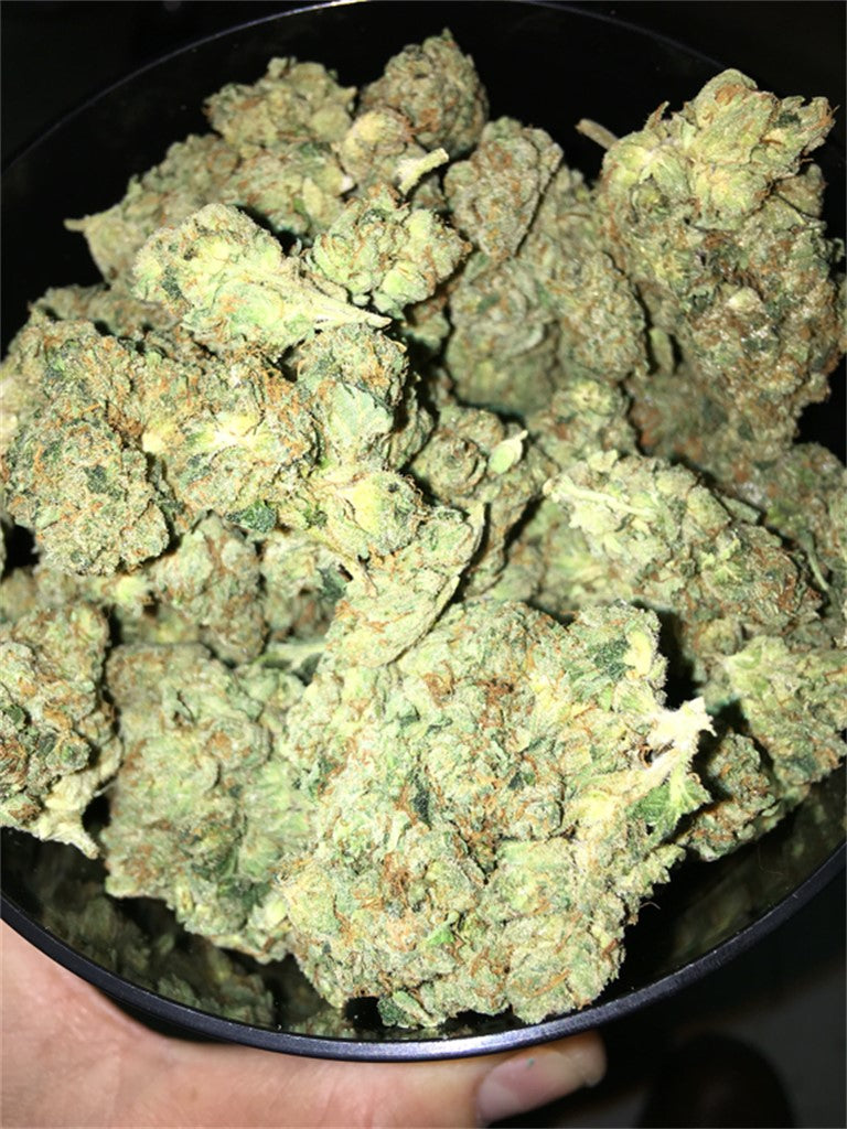 Four Star General marijuana strain flower with diesel and earthy flavor and hungry / euphoric effects - Rare Harvest hybrid