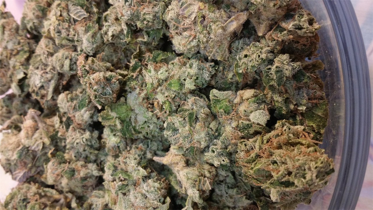 Frostbite marijuana strain flower with tea and skunk flavor and focused / talkative effects - Rare Harvest sativa