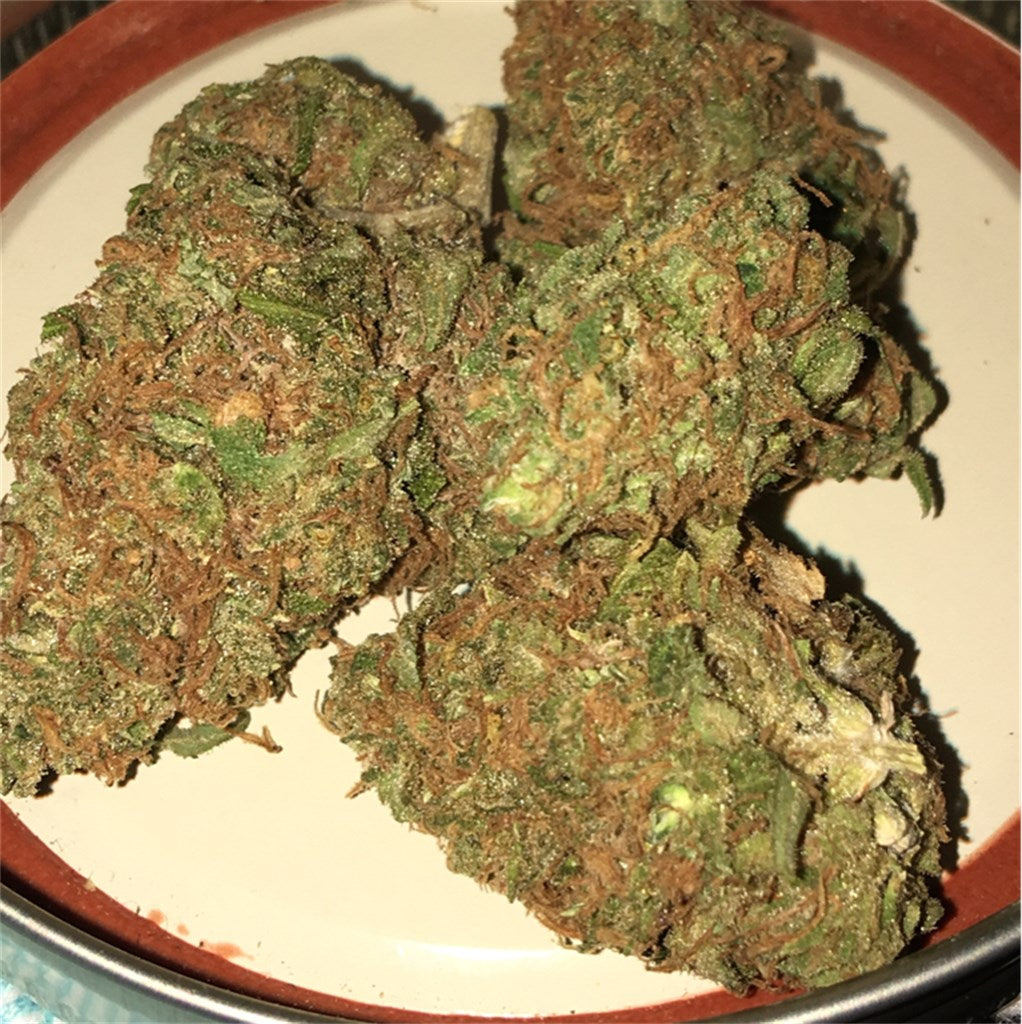 Frosty marijuana strain flower with earthy and pungent flavor and relaxed / happy effects - Rare Harvest indica