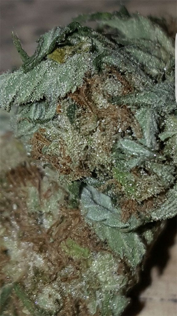Fruit Spirit marijuana strain flower with pepper and spicy/herbal flavor and happy / talkative effects - Rare Harvest hybrid
