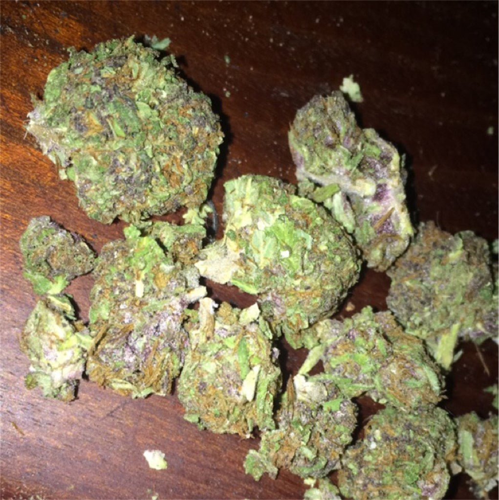 FPOG marijuana strain flower with tropical and tree fruit flavor and giggly / happy effects - Rare Harvest hybrid