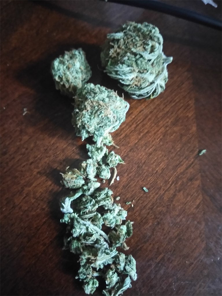 Fruity Widow marijuana strain flower with blueberry and berry flavor and creative / talkative effects - Rare Harvest hybrid