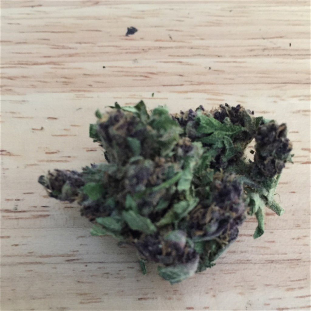 Fucking Incredible marijuana strain flower with earthy and skunk flavor and tingly / relaxed effects - Rare Harvest indica