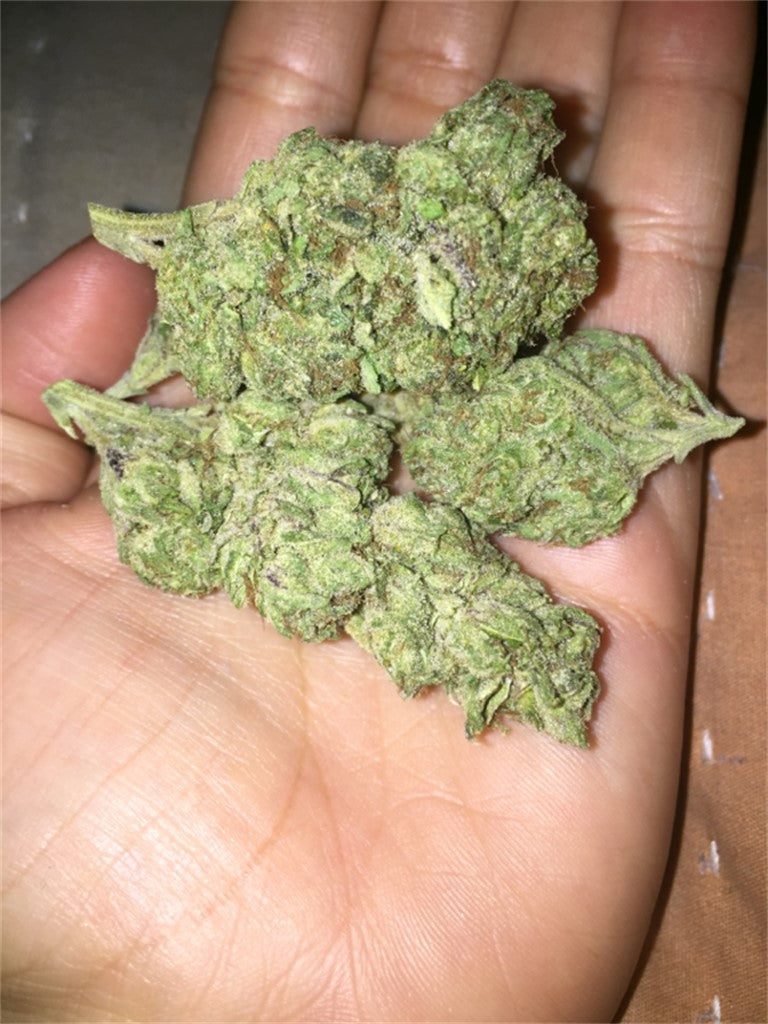 Funfetti marijuana strain flower with vanilla and flowery flavor and happy / creative effects - Rare Harvest hybrid