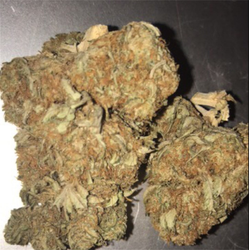 G-Force marijuana strain flower with pungent and earthy flavor and creative / euphoric effects - Rare Harvest indica