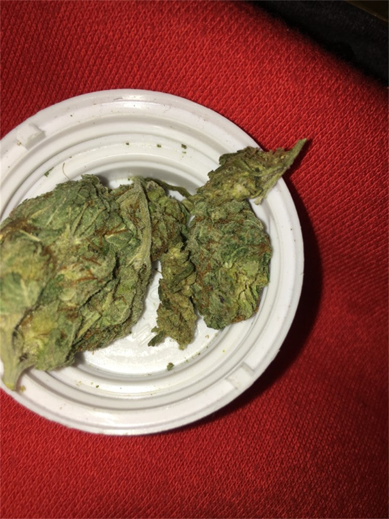 G.O.A.T. marijuana strain flower with earthy and sweet flavor and focused / creative effects - Rare Harvest hybrid