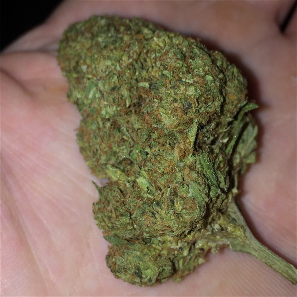 Gatekeeper OG marijuana strain flower with vanilla and earthy flavor and uplifted / euphoric effects - Rare Harvest hybrid