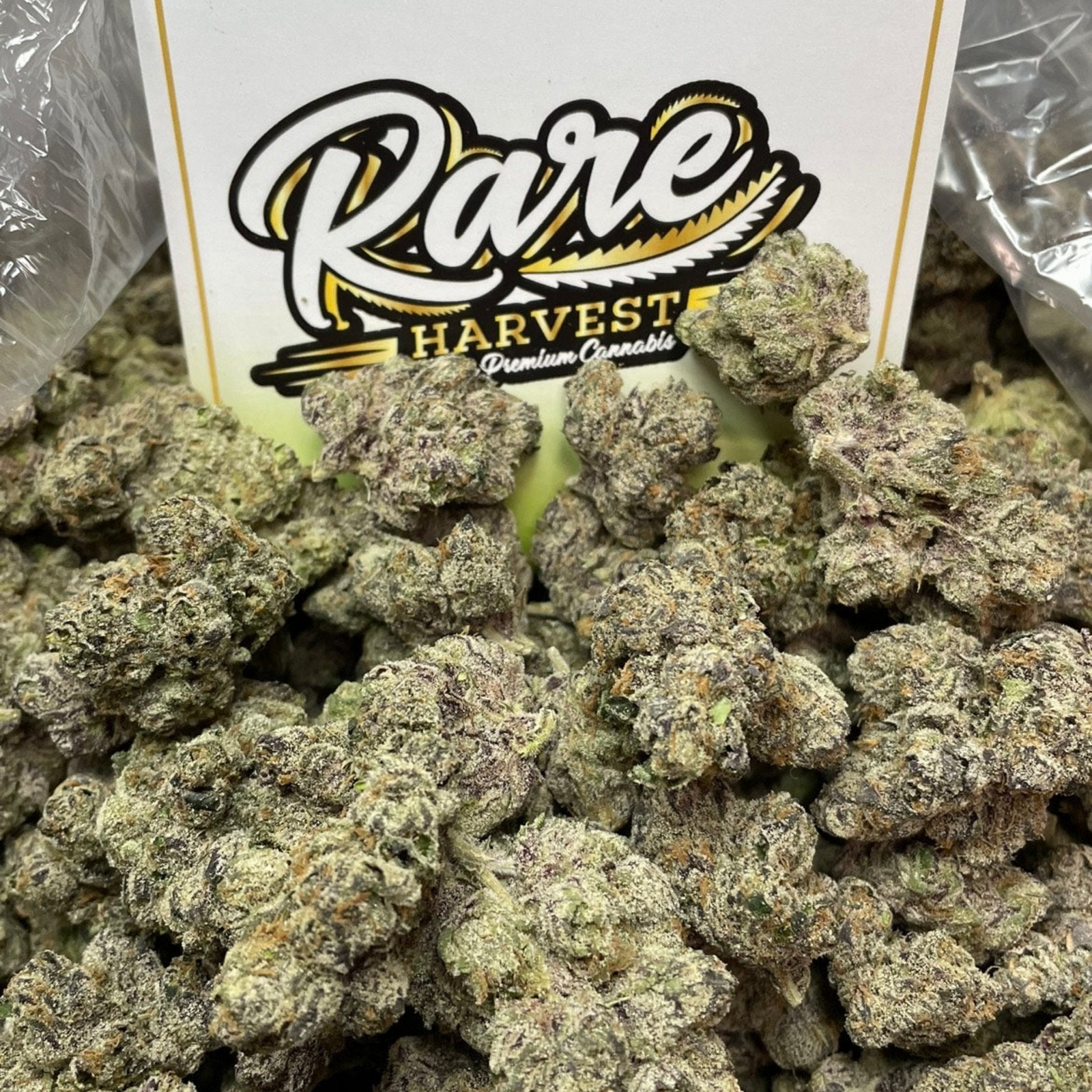 Gelato 33 marijuana strain - exotic hybrid weed buds by Rare Harvest
