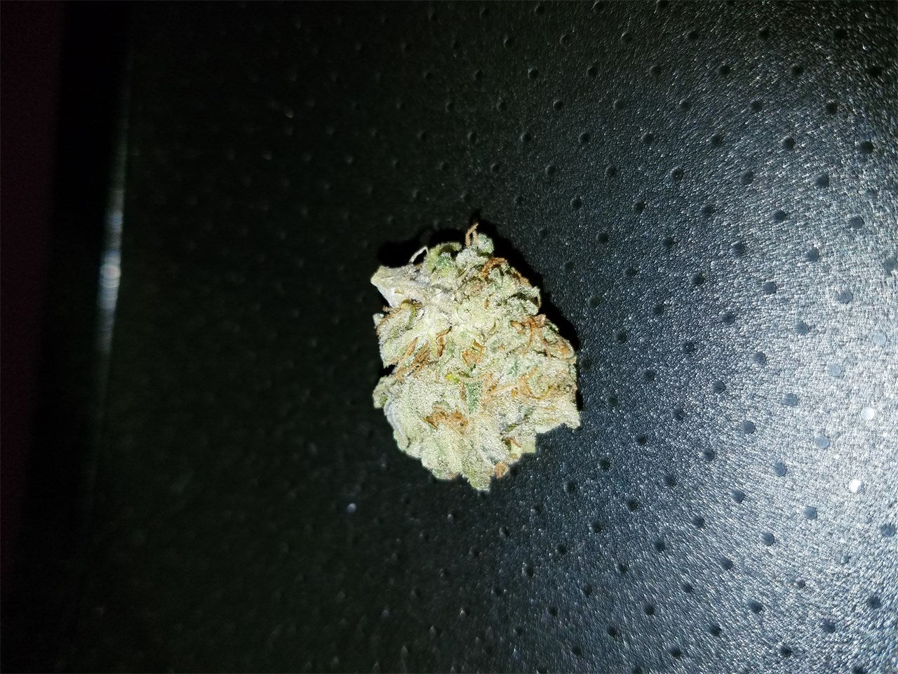 Georgia Pine marijuana strain flower with pine and flowery flavor and giggly / energetic effects - Rare Harvest hybrid