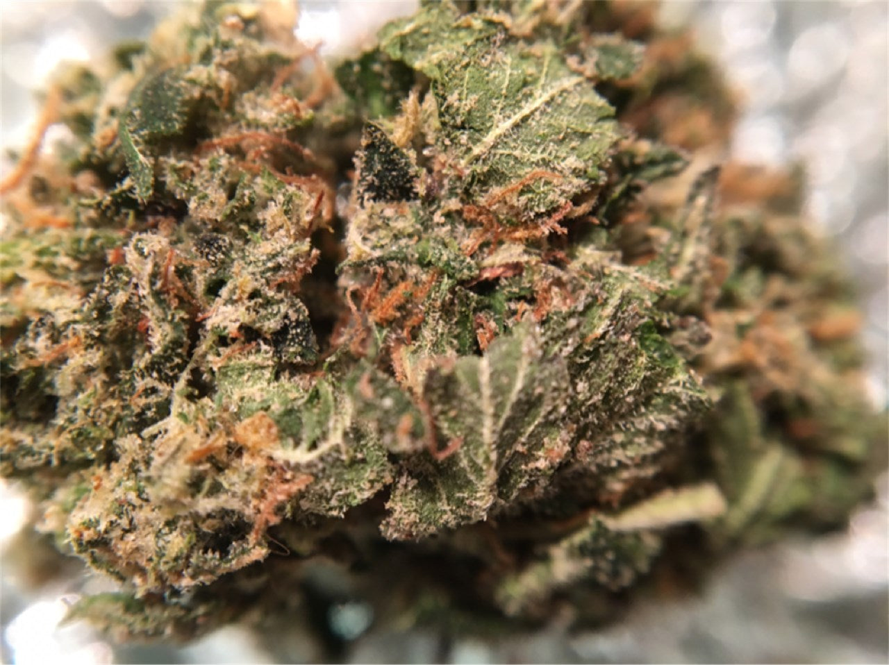 Ghost Bubba marijuana strain flower with tea and earthy flavor and euphoric / uplifted effects - Rare Harvest hybrid