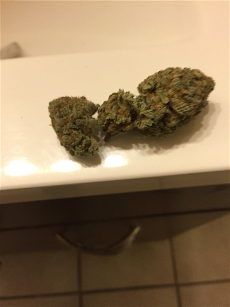 Ghost Ship marijuana strain flower with flowery and skunk flavor and sleepy / relaxed effects - Rare Harvest indica