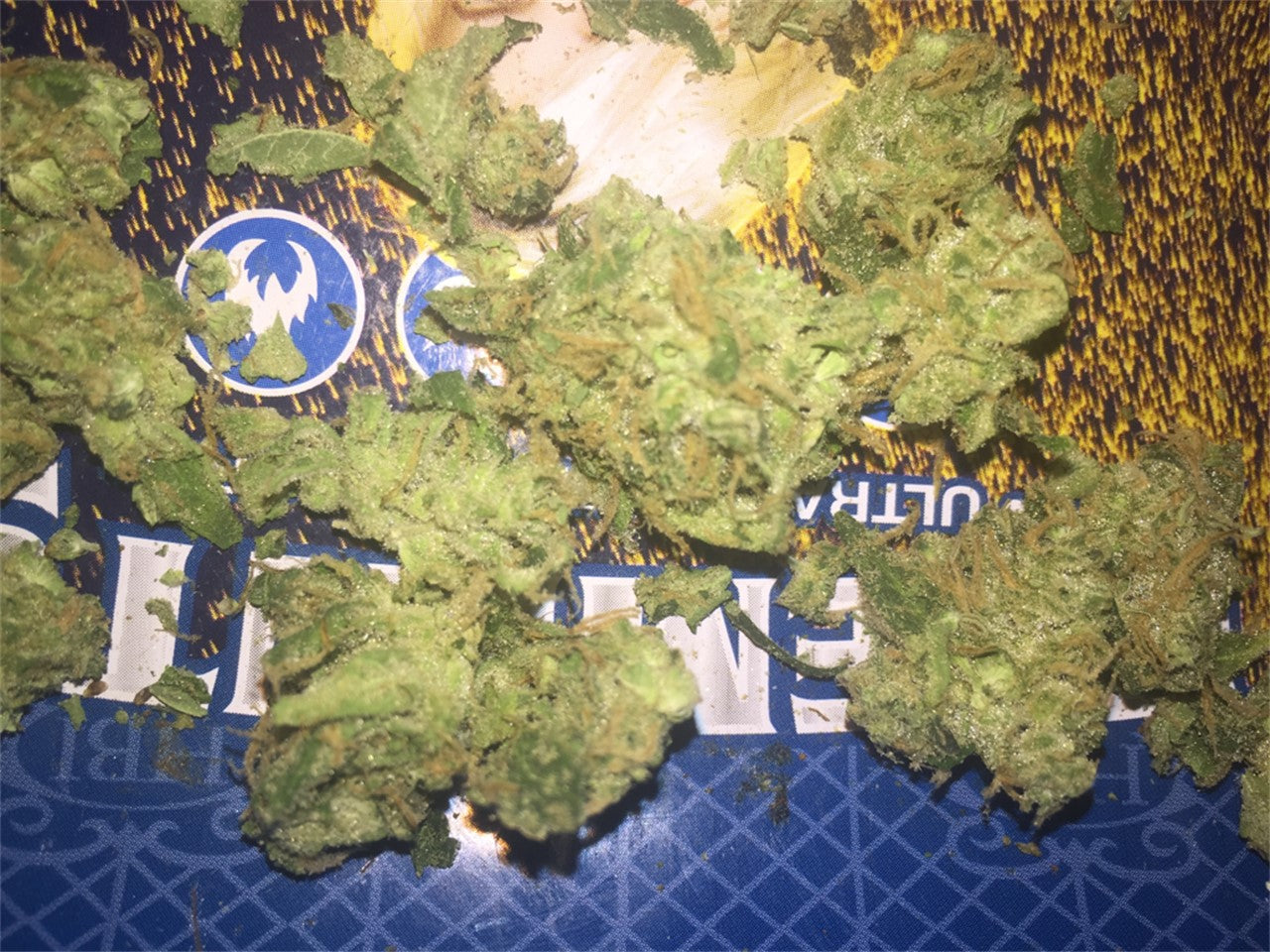 Glad Max marijuana strain flower with flowery and pine flavor and creative / focused effects - Rare Harvest hybrid