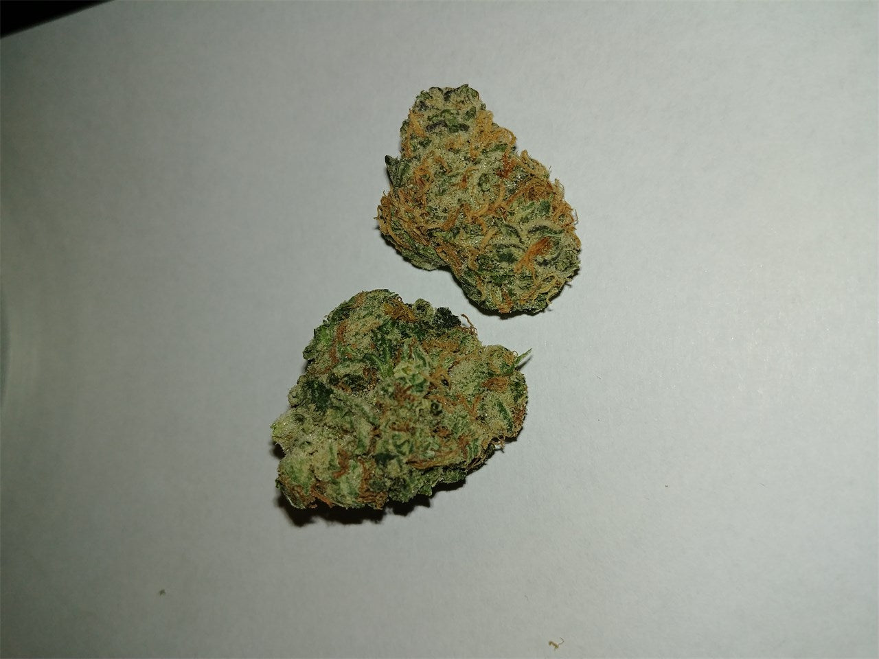 Glass Apple marijuana strain flower with apple and flowery flavor and energetic / talkative effects - Rare Harvest hybrid