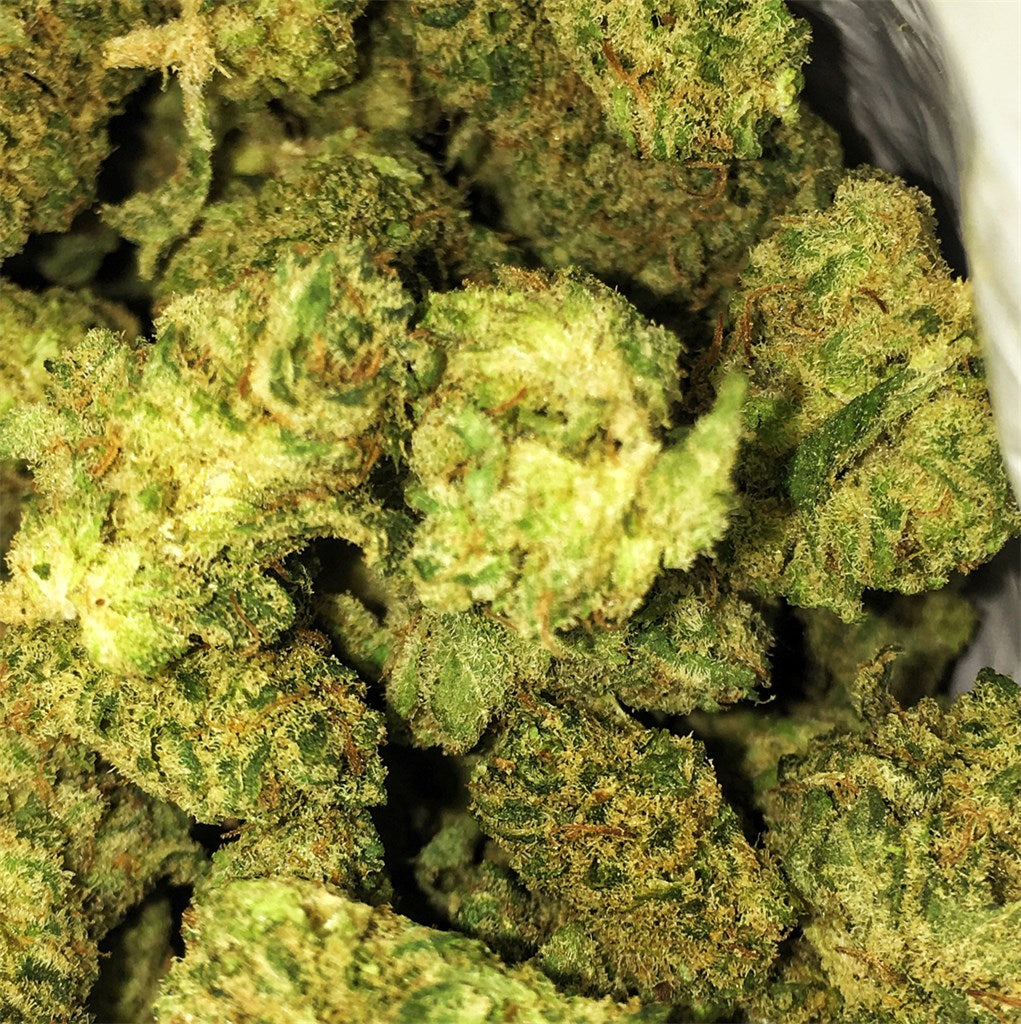 Glue Tech marijuana strain flower with pineapple and diesel flavor and focused / uplifted effects - Rare Harvest hybrid