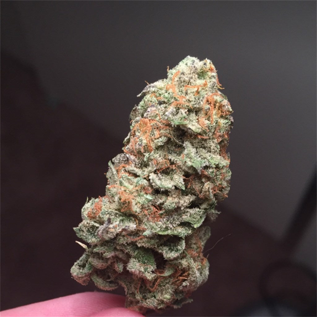 Go Time marijuana strain flower with lemon and grape flavor and energetic / focused effects - Rare Harvest hybrid