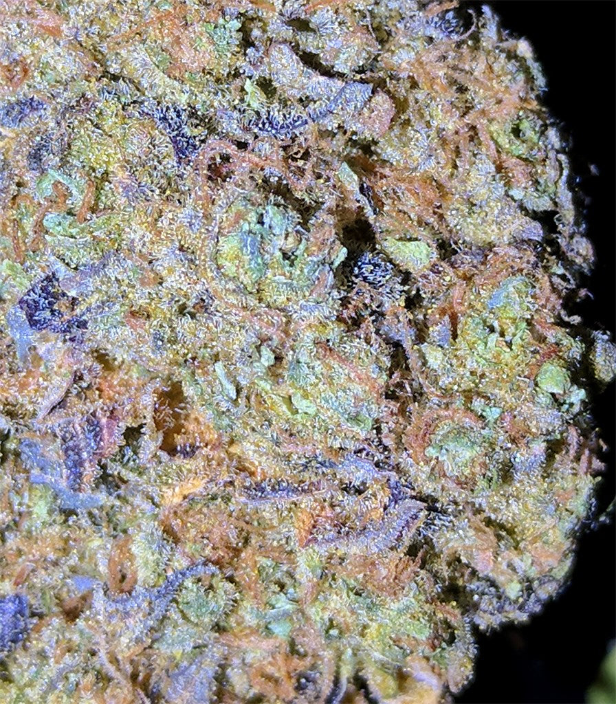 Gobbstopper marijuana strain flower with berry and woody flavor and sleepy / relaxed effects - Rare Harvest indica