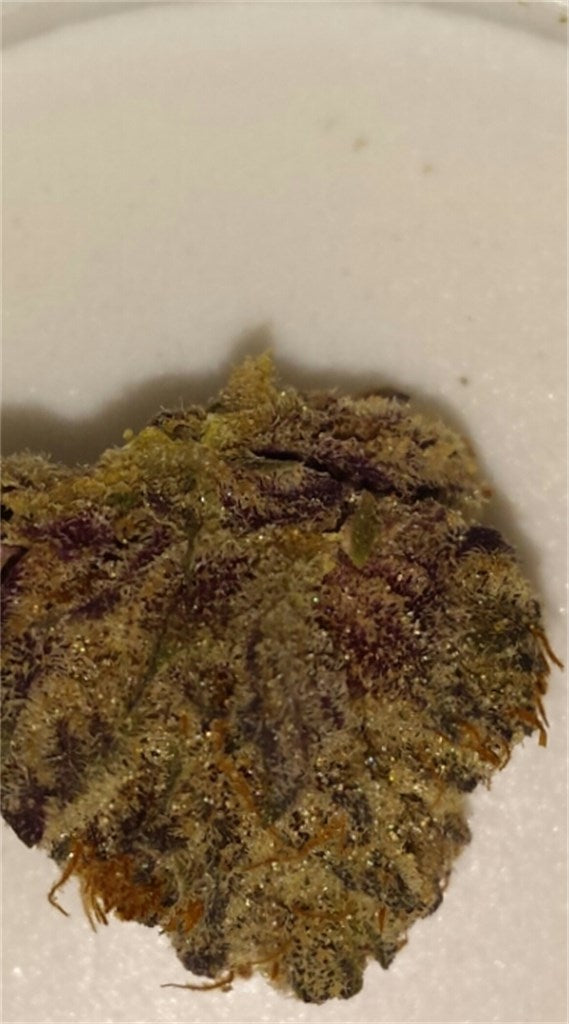 God's Gift marijuana strain flower with earthy and grape flavor and sleepy / relaxed effects - Rare Harvest indica