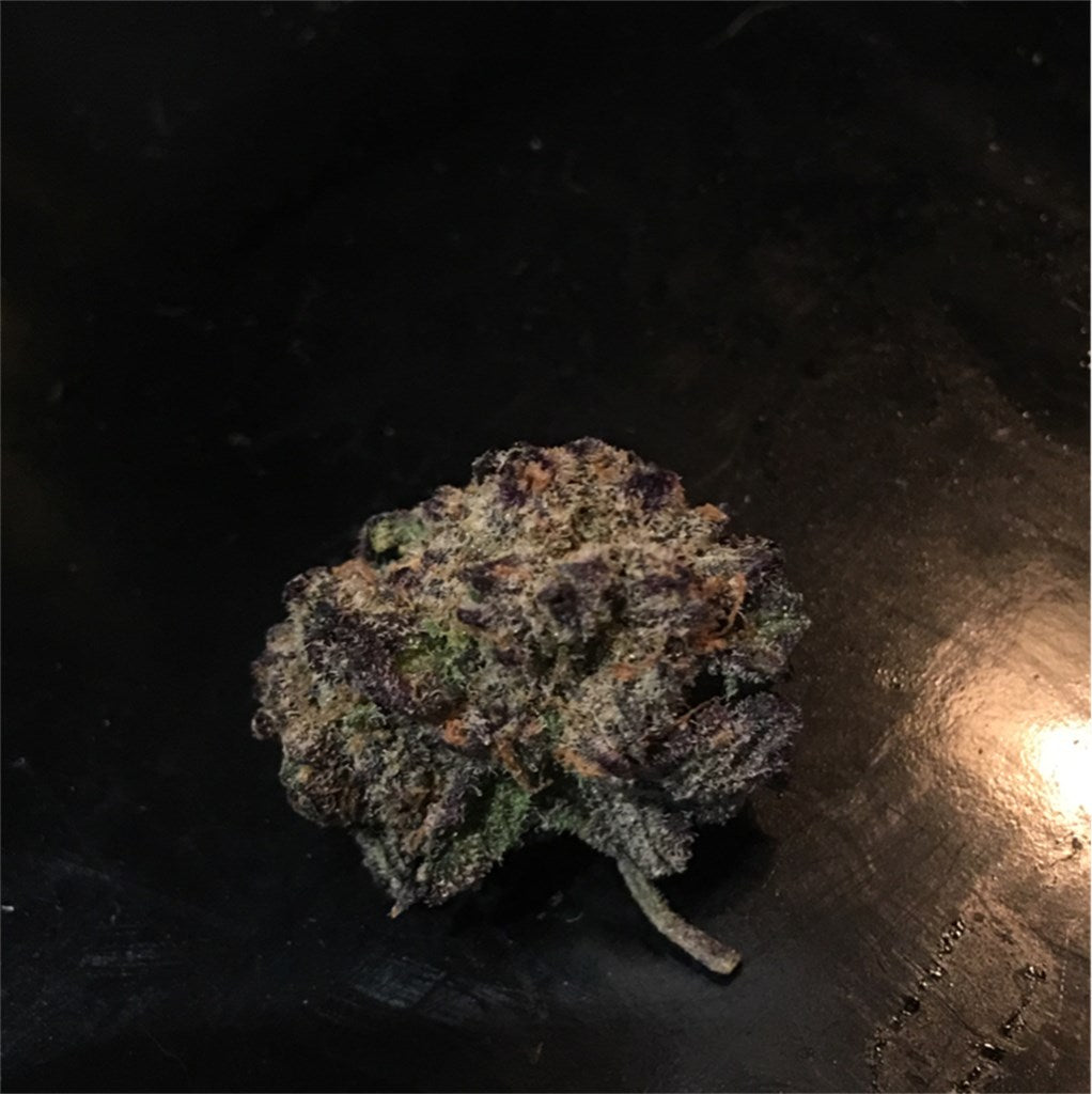 God's Green Crack marijuana strain flower with woody and lime flavor and energetic / euphoric effects - Rare Harvest hybrid
