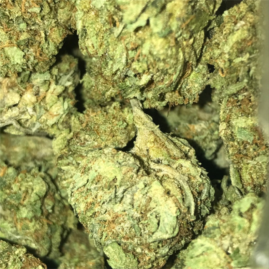 God's Treat marijuana strain flower with blueberry and strawberry flavor and energetic / talkative effects - Rare Harvest indica