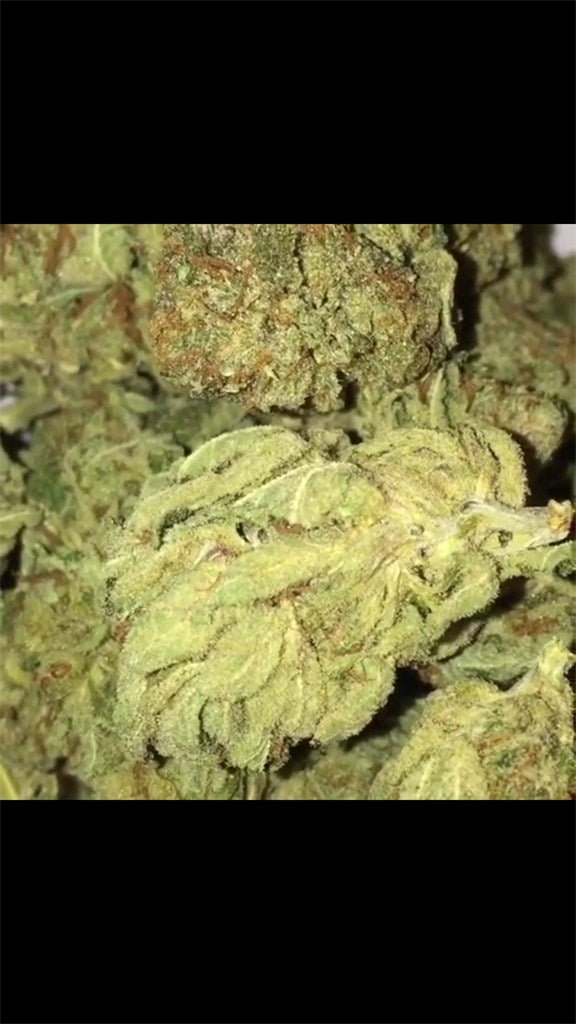Godfather OG marijuana strain flower with earthy and pungent flavor and sleepy / relaxed effects - Rare Harvest indica