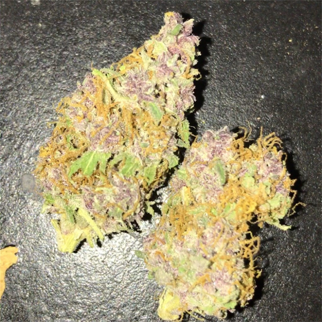Godfather Purple Kush marijuana strain flower with blueberry and grape flavor and euphoric / happy effects - Rare Harvest indica