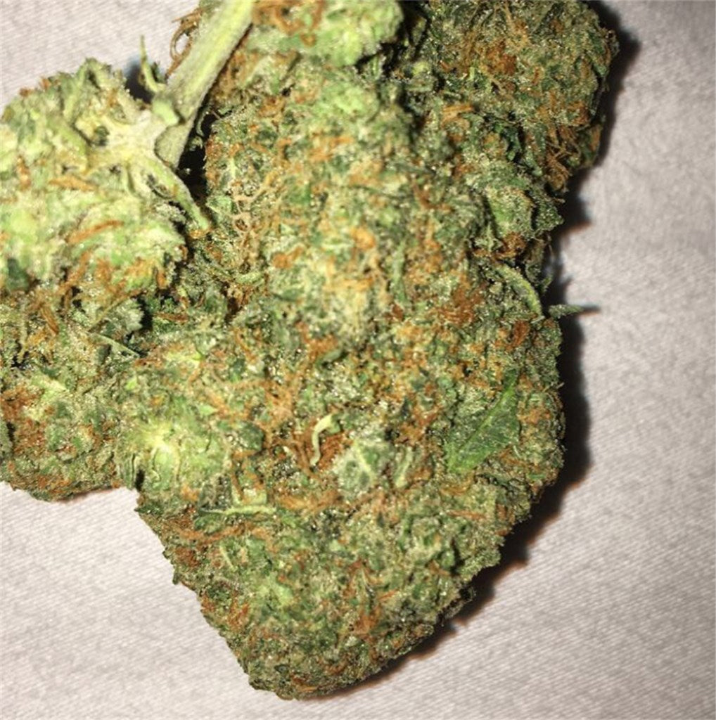 Goldberry marijuana strain flower with blueberry and ammonia flavor and creative / focused effects - Rare Harvest indica