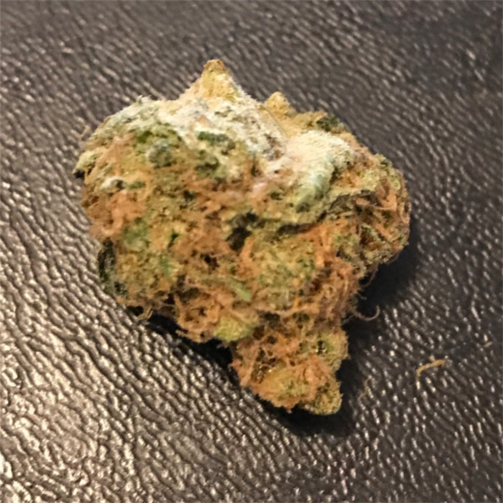 Golden Goat marijuana strain flower with citrus and tropical flavor and energetic / uplifted effects - Rare Harvest hybrid