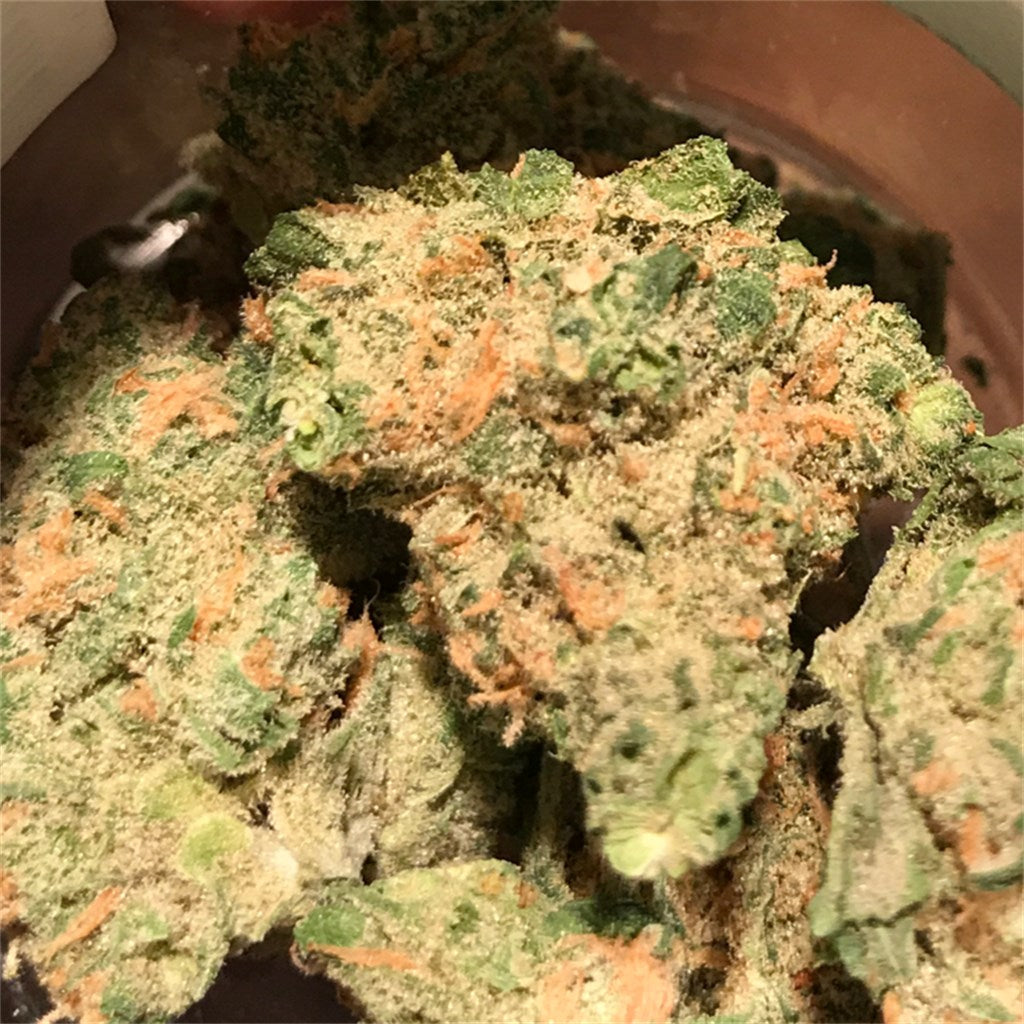 Golden Pineapple marijuana strain flower with tropical and pineapple flavor and energetic / uplifted effects - Rare Harvest hybrid