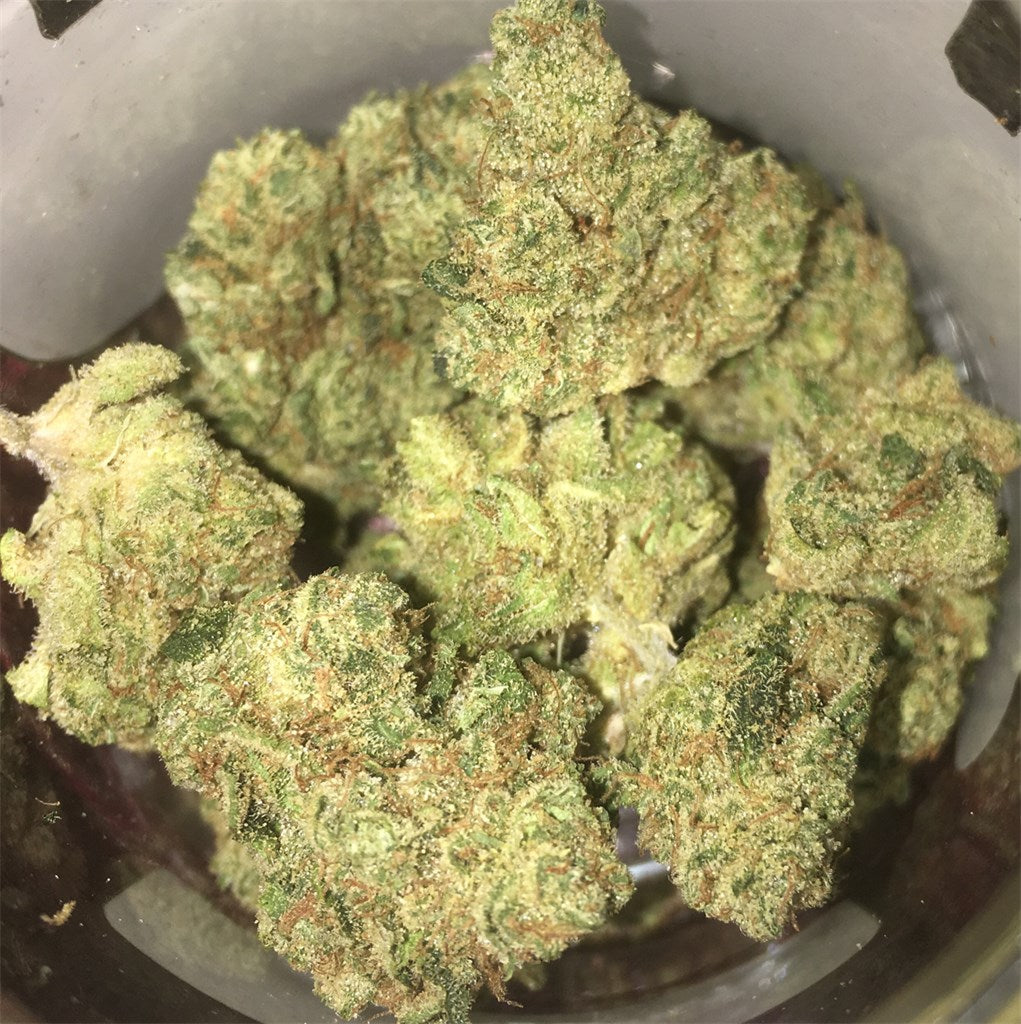 Golden State Banana marijuana strain flower with tree fruit and tropical flavor and relaxed / creative effects - Rare Harvest indica