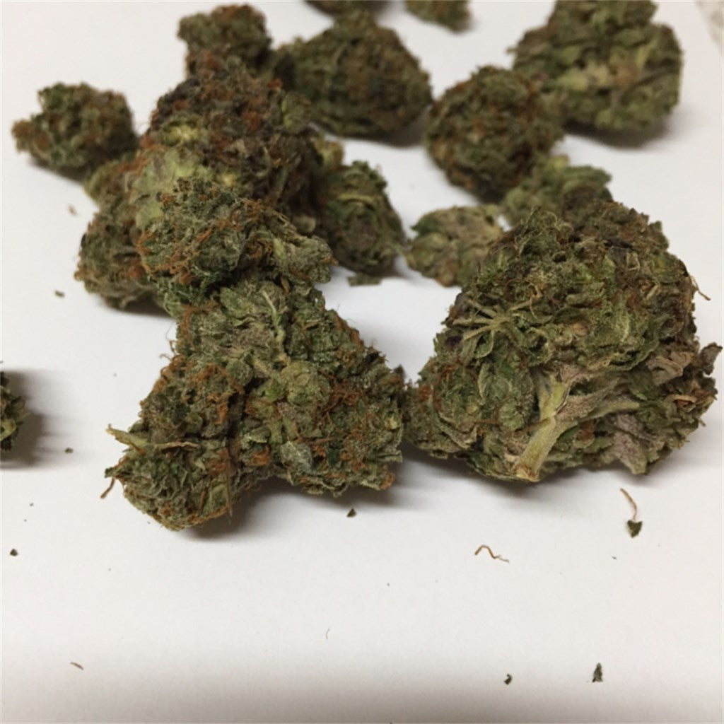 Gorilla Biscuit marijuana strain flower with coffee and cheese flavor and sleepy / relaxed effects - Rare Harvest indica