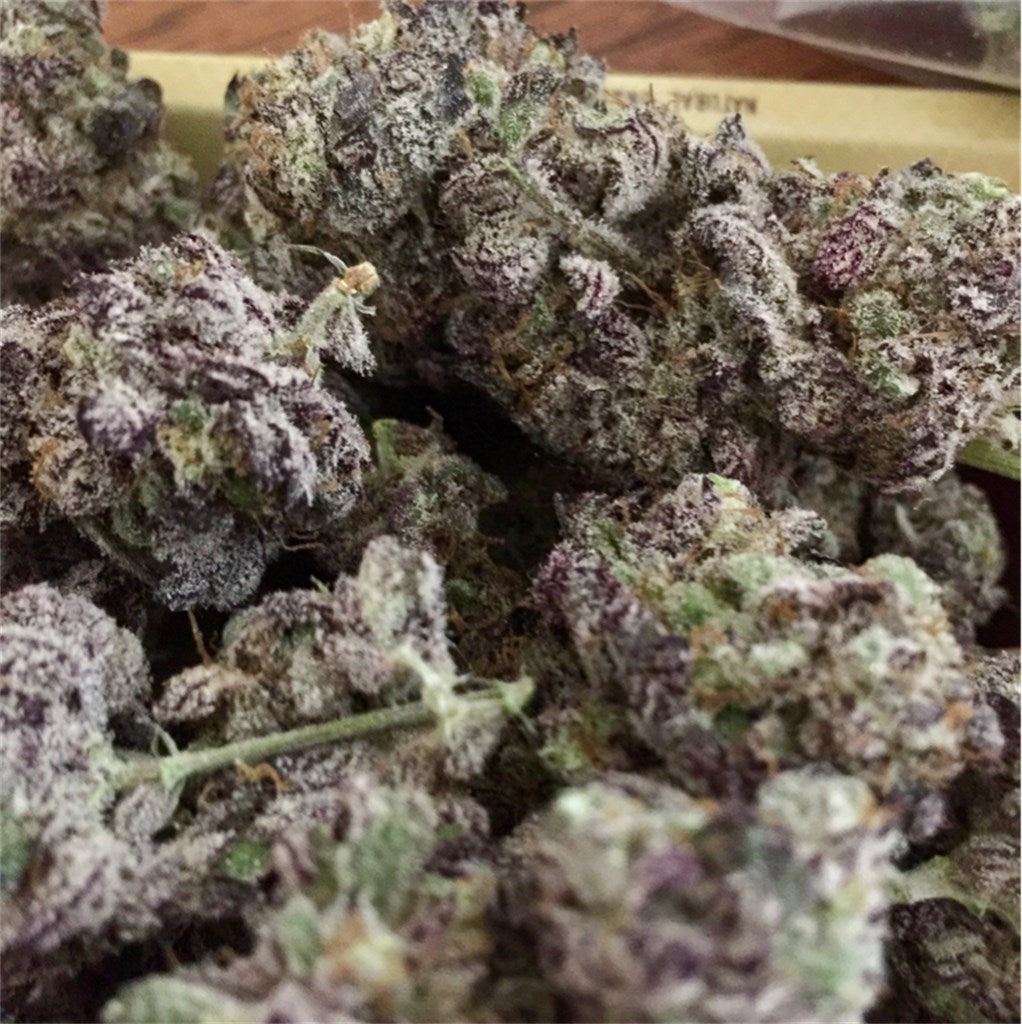 Gorilla Cookies marijuana strain flower with mint and nutty flavor and relaxed / sleepy effects - Rare Harvest hybrid