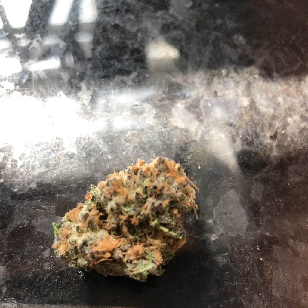 Grand Doggy Purps marijuana strain flower with grape and blueberry flavor and relaxed / hungry effects - Rare Harvest indica