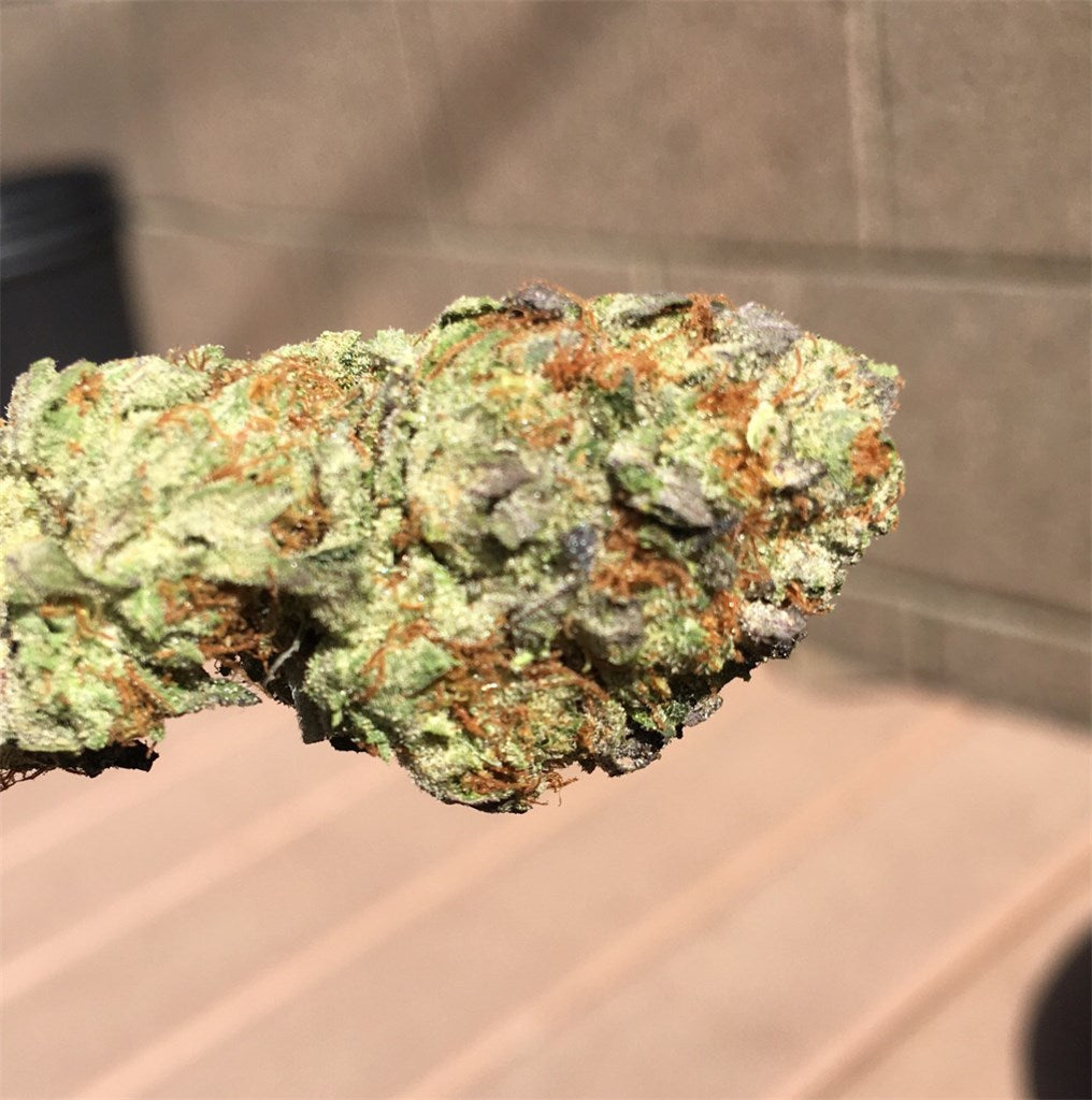 Grand Hindu marijuana strain flower with grape and plum flavor and relaxed / sleepy effects - Rare Harvest indica