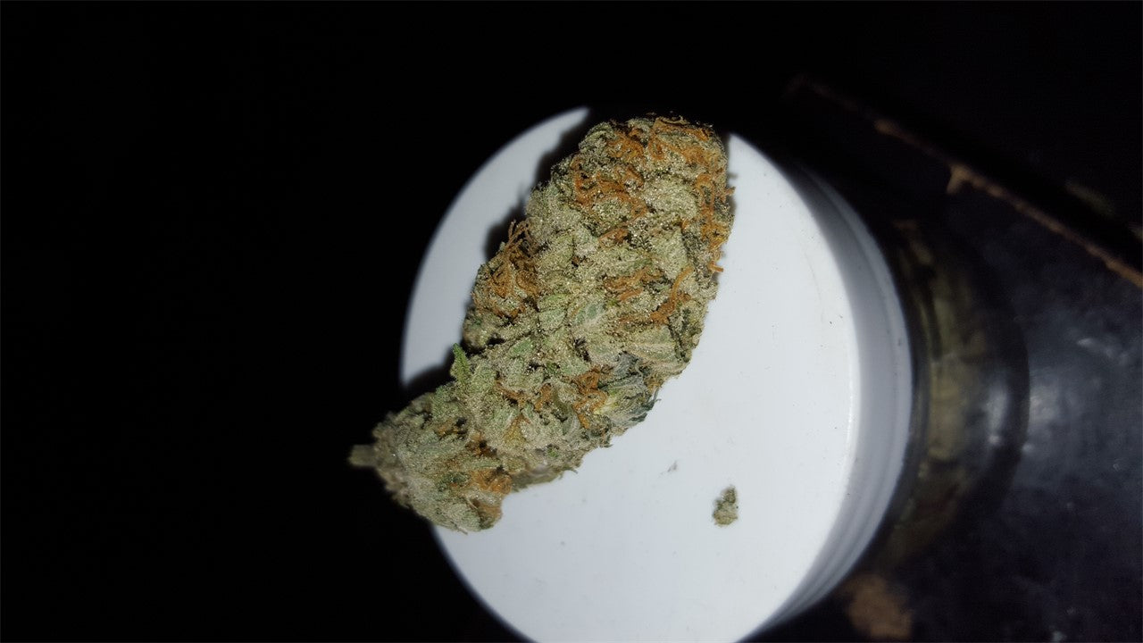 Grand Hustle marijuana strain flower with earthy and citrus flavor and creative / uplifted effects - Rare Harvest hybrid