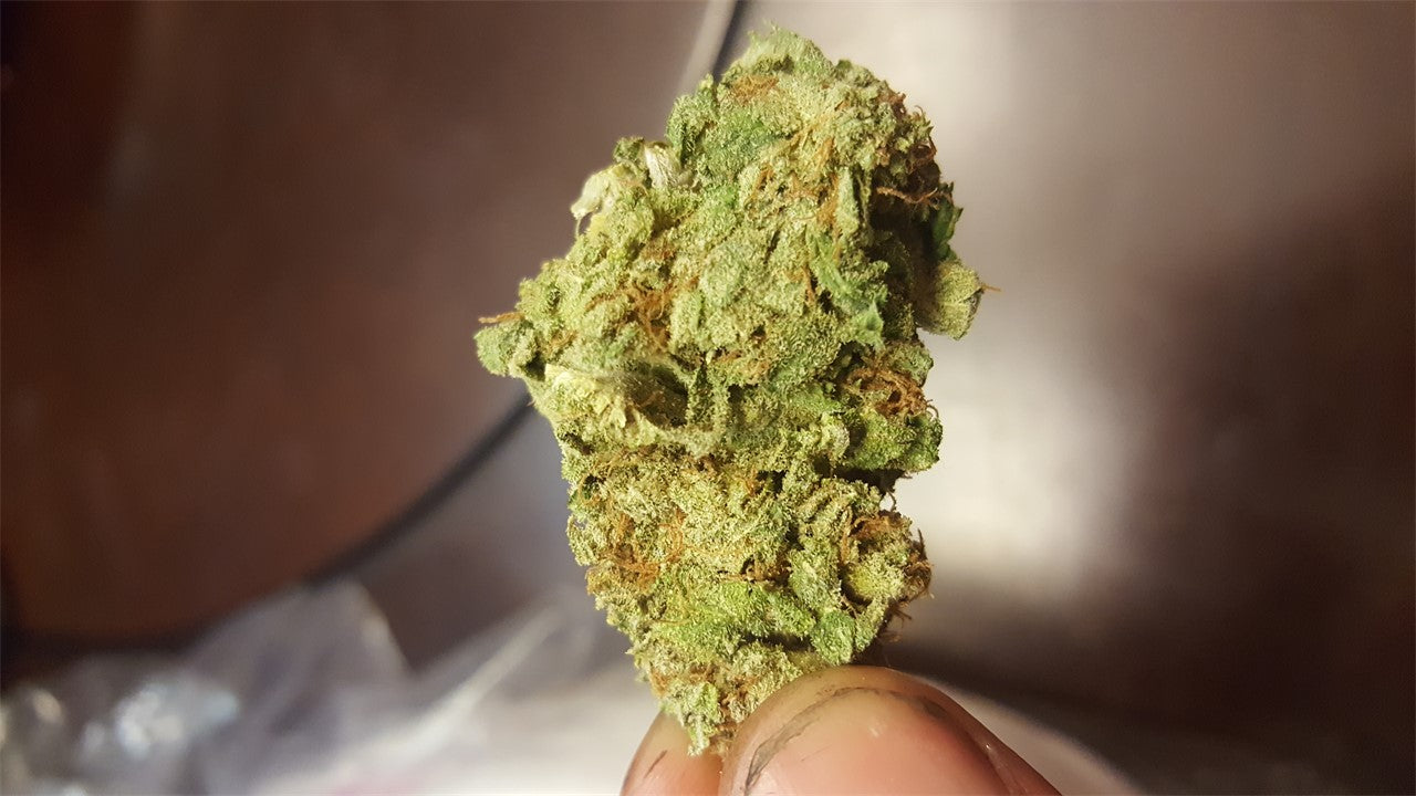 Green Avenger marijuana strain flower with mint and cheese flavor and energetic / creative effects - Rare Harvest hybrid