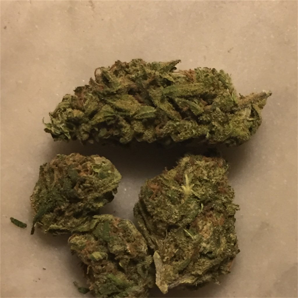 Green Dragon marijuana strain flower with mint and pine flavor and relaxed / giggly effects - Rare Harvest indica