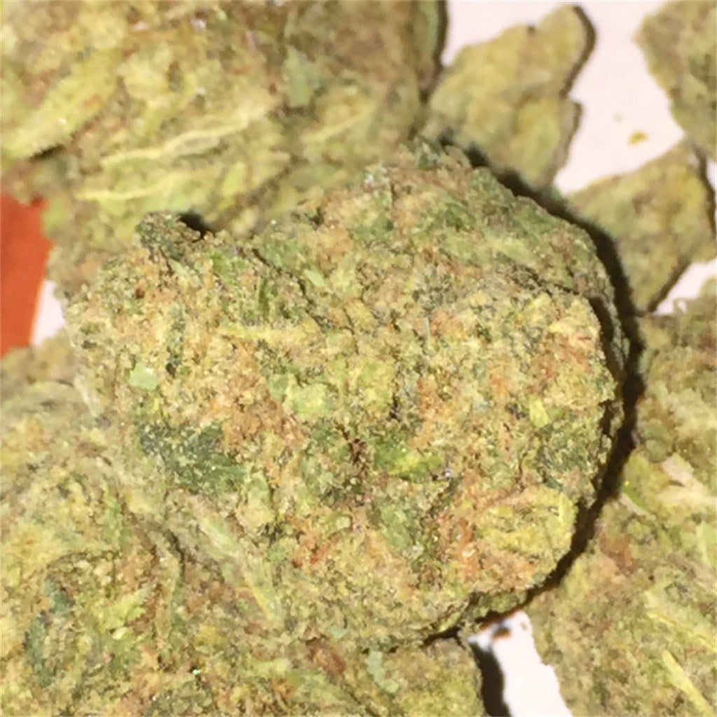 Green Dream marijuana strain flower with tea and rose flavor and focused / creative effects - Rare Harvest hybrid