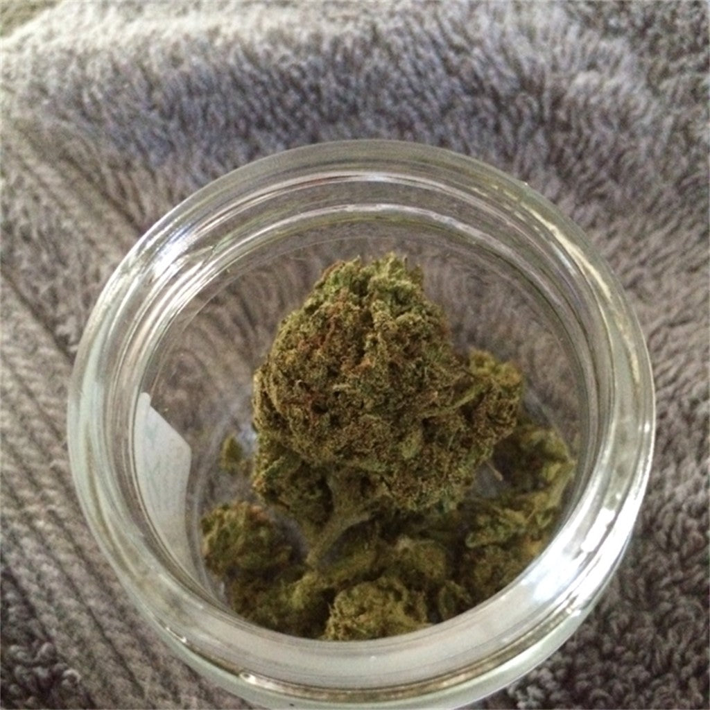 Green Goblin marijuana strain flower with menthol and diesel flavor and giggly / focused effects - Rare Harvest sativa