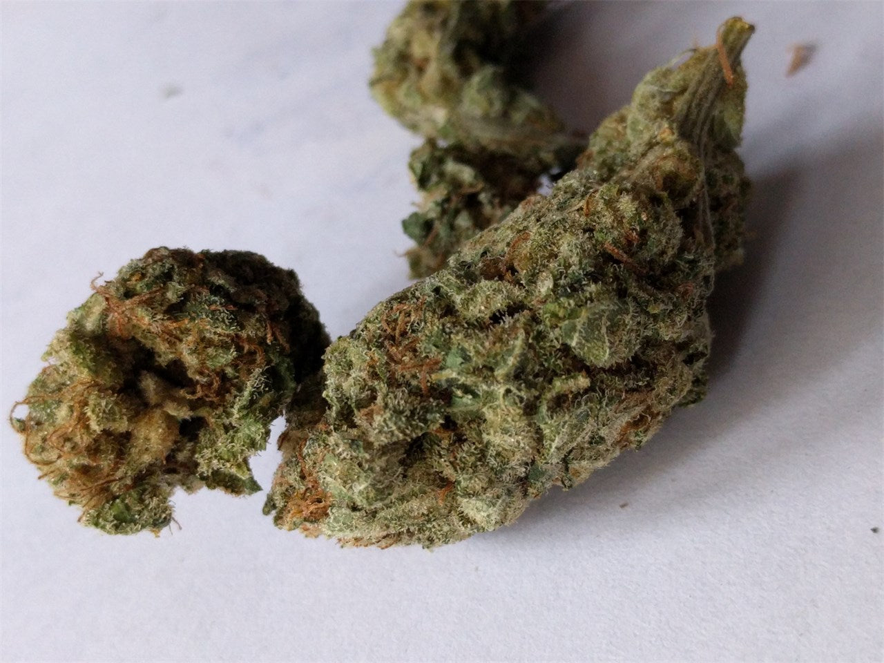 Green Goddess marijuana strain flower with rose and grapefruit flavor and aroused / focused effects - Rare Harvest hybrid