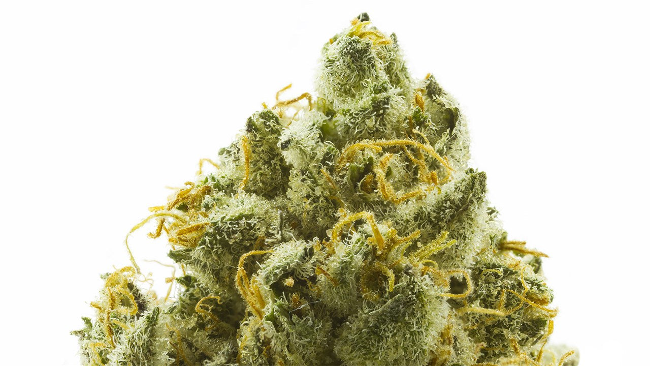 Green Line OG marijuana strain flower with lime and citrus flavor and focused / uplifted effects - Rare Harvest hybrid