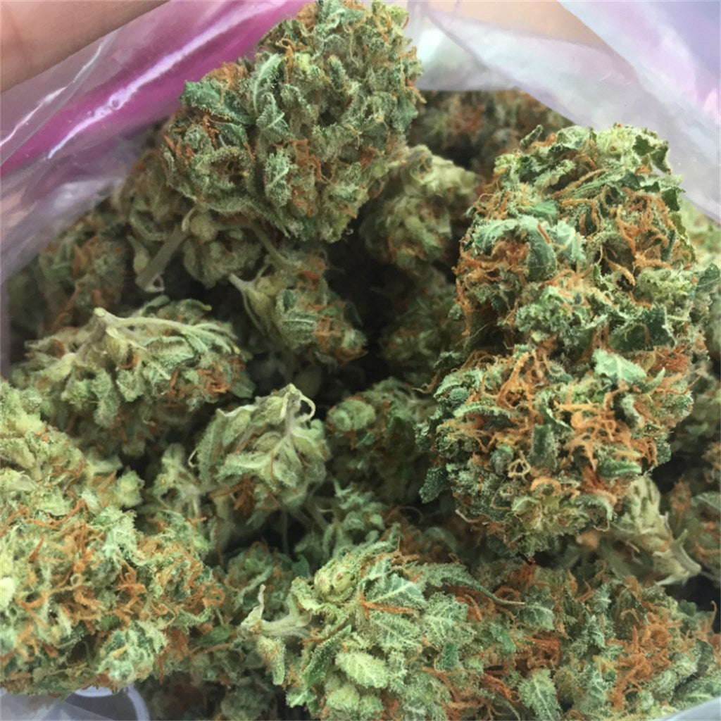 Green Love Potion marijuana strain flower with lavender and flowery flavor and aroused / relaxed effects - Rare Harvest indica