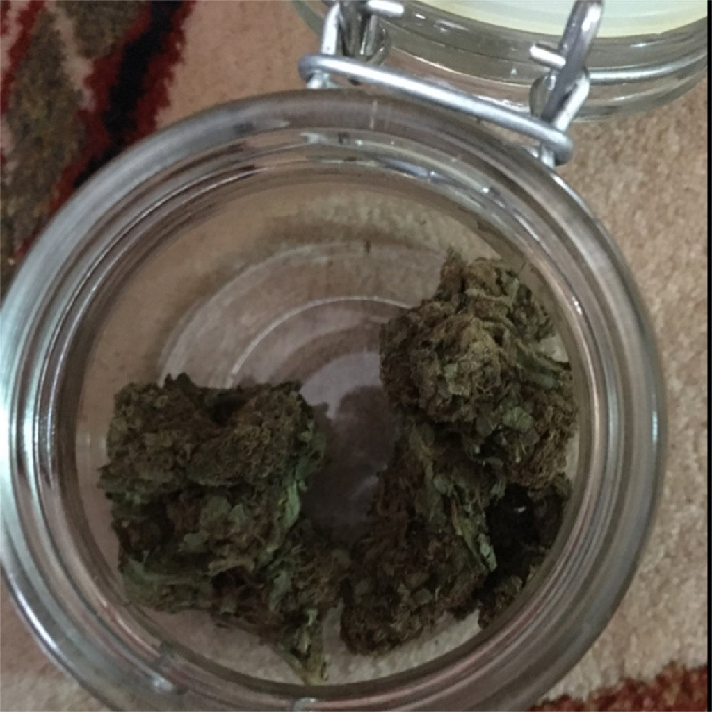 Green Monster marijuana strain flower with earthy and chemical flavor and giggly / talkative effects - Rare Harvest hybrid