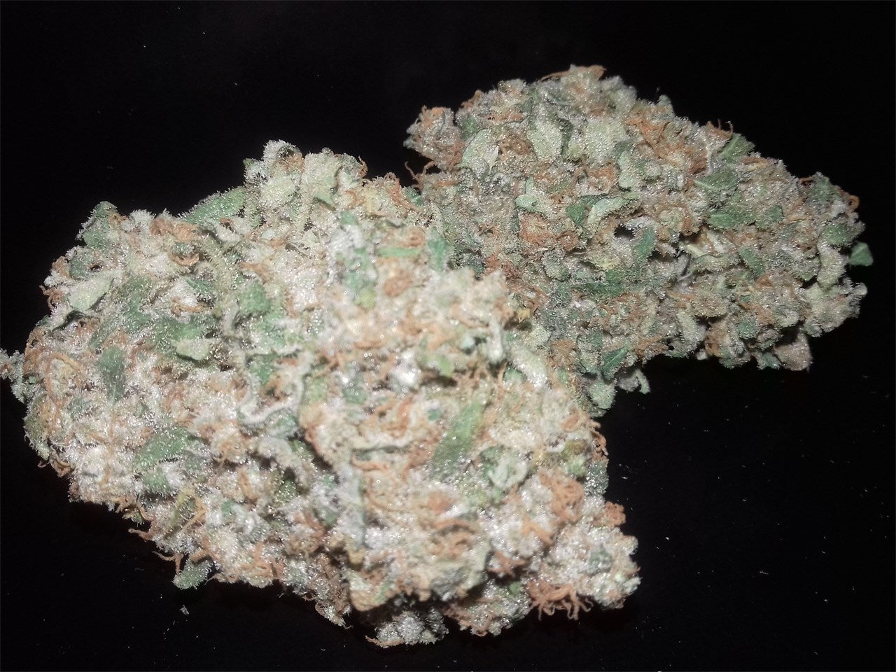 Green Poison marijuana strain flower with citrus and flowery flavor and sleepy / relaxed effects - Rare Harvest indica