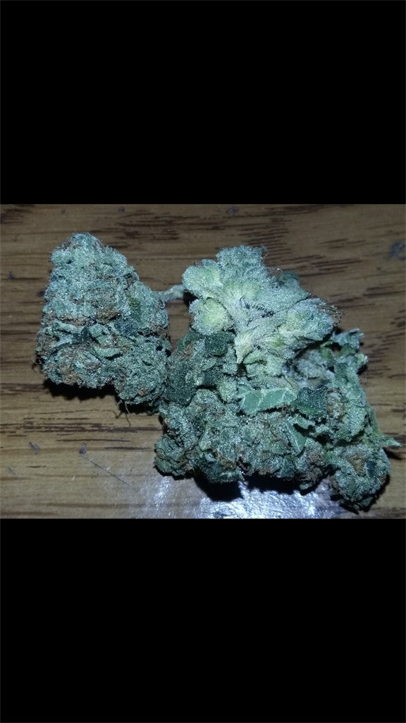 Gremlin marijuana strain flower with pungent and sweet flavor and euphoric / energetic effects - Rare Harvest hybrid