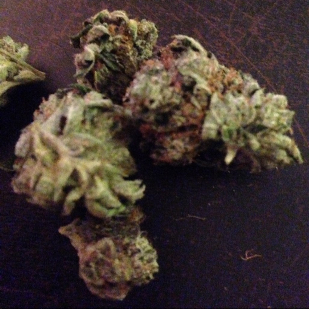 Grimace marijuana strain flower with berry and pungent flavor and relaxed / hungry effects - Rare Harvest indica