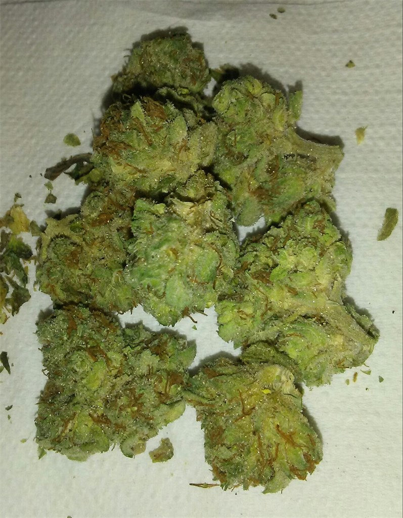 Grimmdica marijuana strain flower with cheese and earthy flavor and relaxed / sleepy effects - Rare Harvest indica