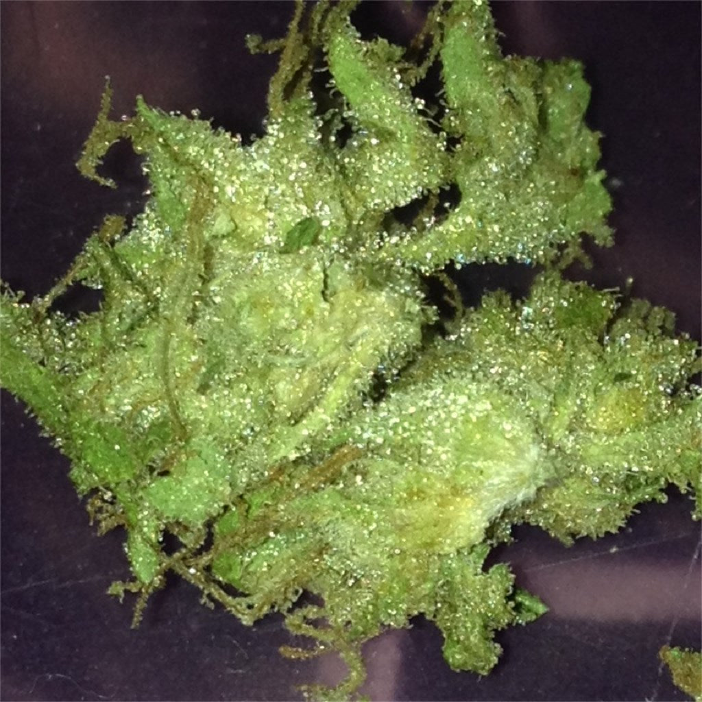 GRiZ Kush marijuana strain flower with lemon and citrus flavor and giggly / creative effects - Rare Harvest hybrid
