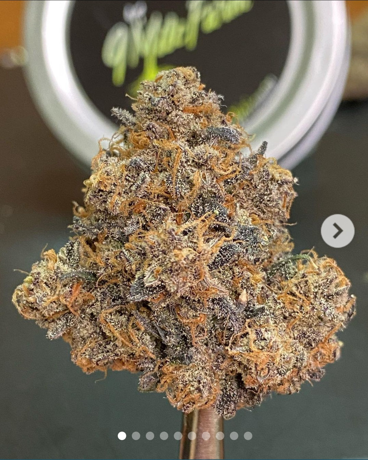 Black Cherry Garlic marijuana strain flower with berry and blueberry flavor and energetic / euphoric effects - Rare Harvest indica