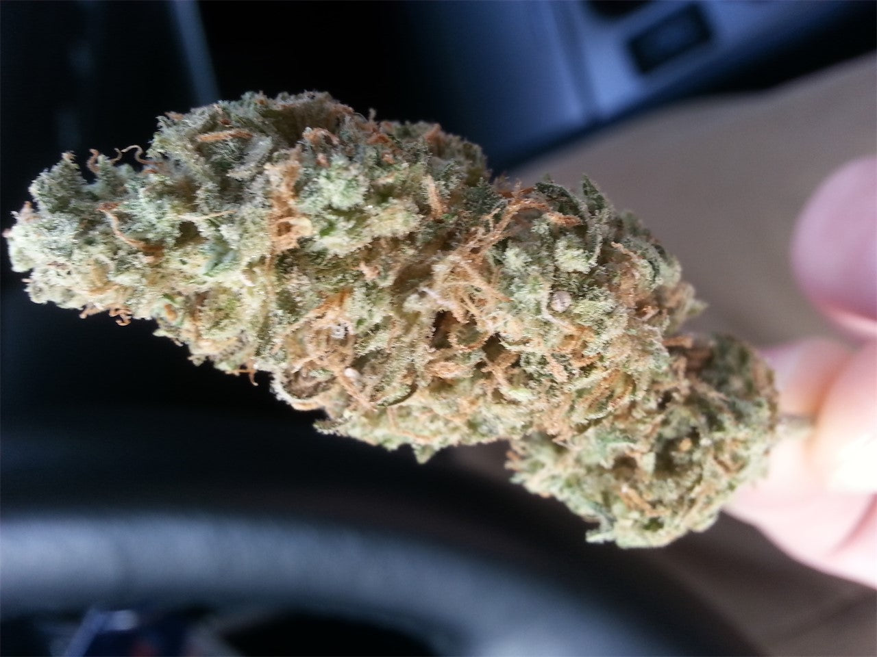 Guava Chem marijuana strain flower with plum and chemical flavor and focused / creative effects - Rare Harvest hybrid