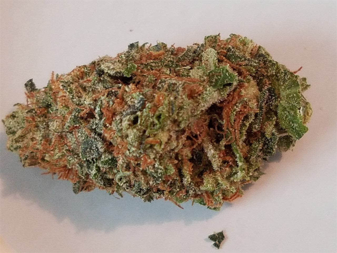 Guido Kush marijuana strain flower and energetic / euphoric effects - Rare Harvest indica